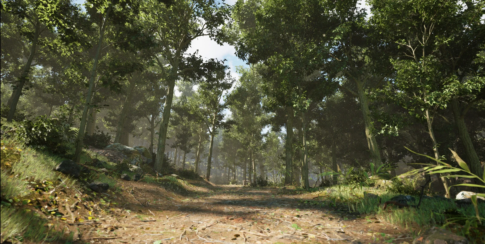 The Endless Forest Path environment by GV Shriram.